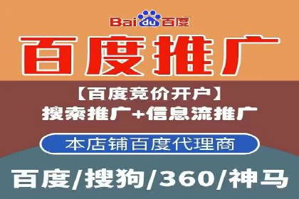 百度竞价广告的投放策略与成功案例分析